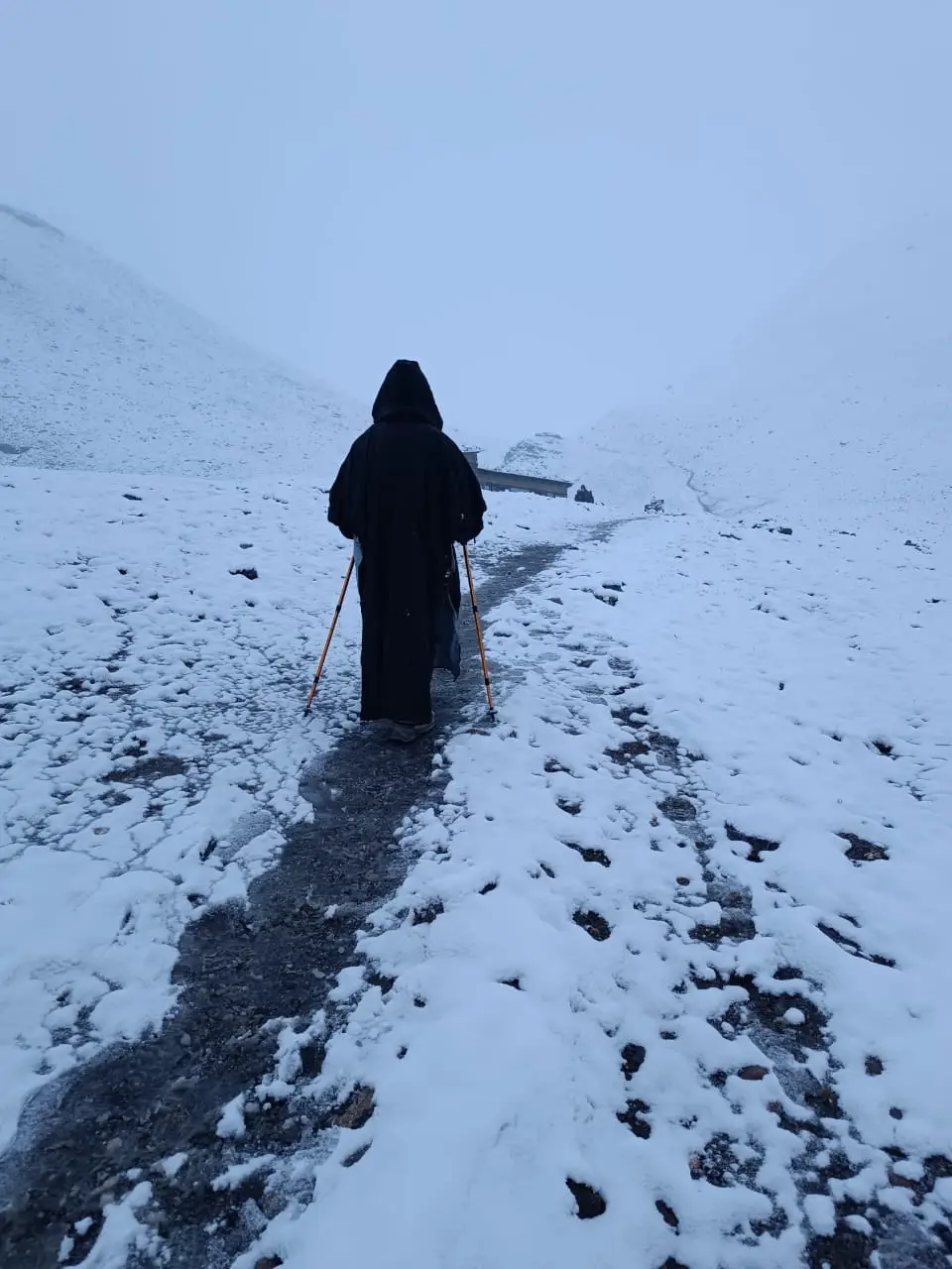 Life on the Trail