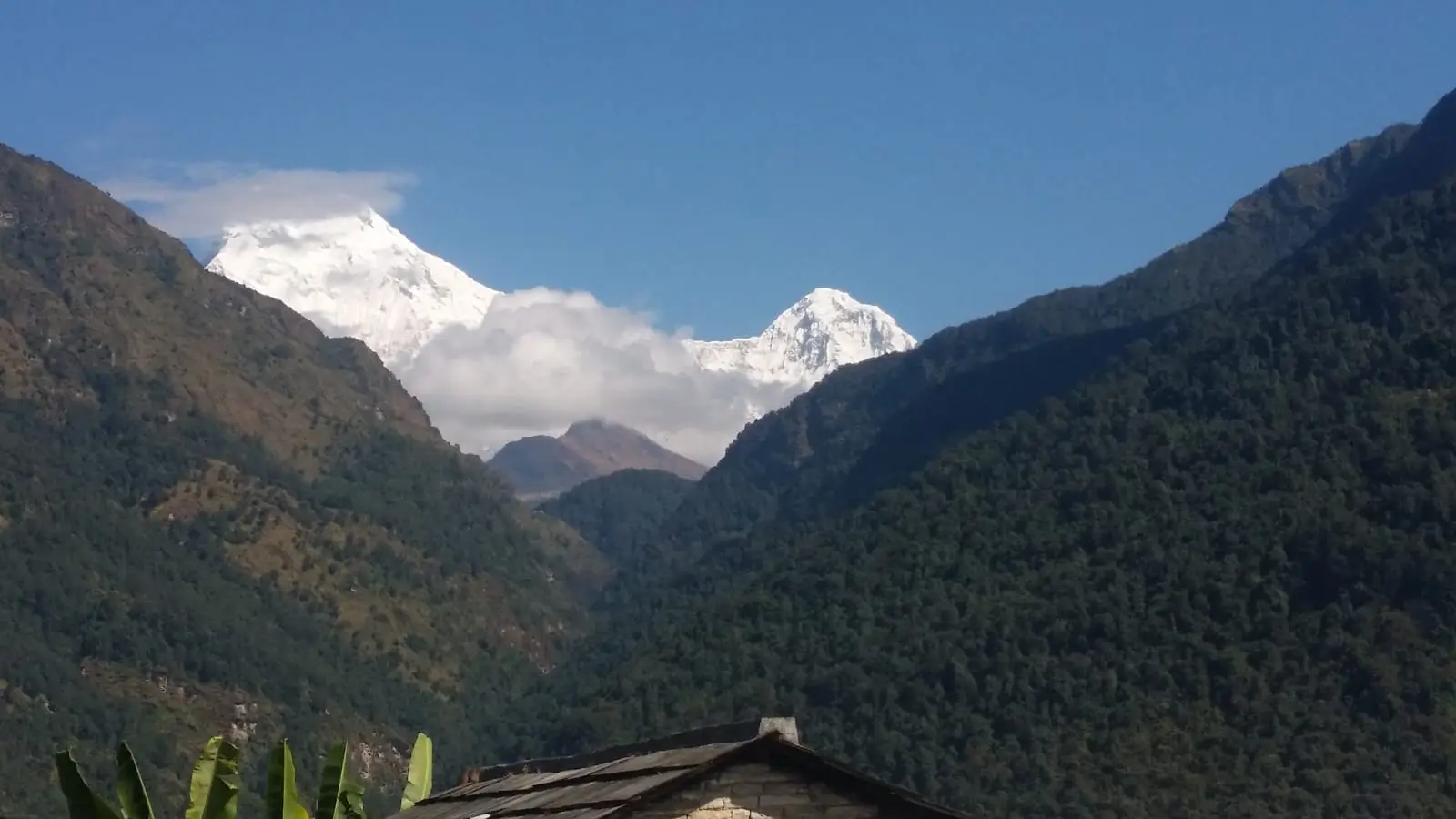 Phewa lake and the Annapurna range at Pokhara